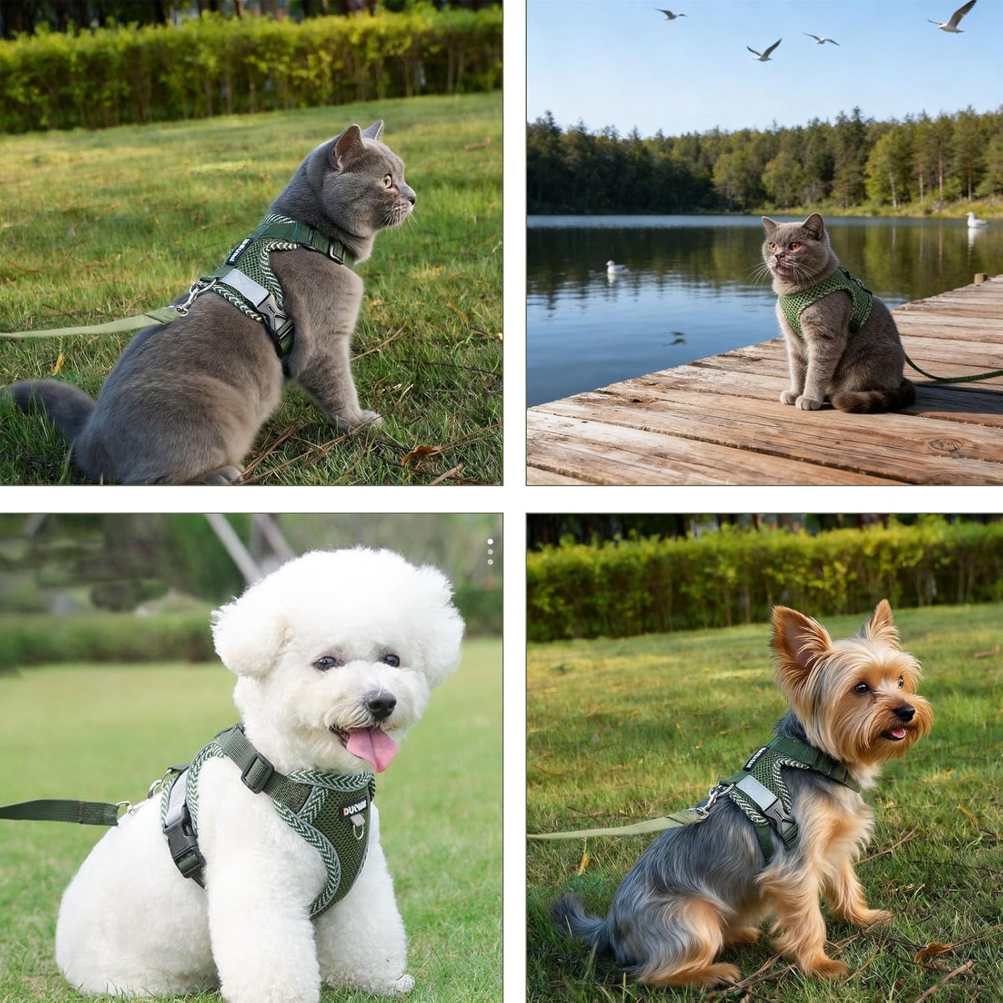 Cat Harness and Lead Set, Secure Walking Solution for Feline Companions, Comfortable Fit with Adjustable Straps, Suitable for Indoor and Outdoor Use. | FREE SHIPPING