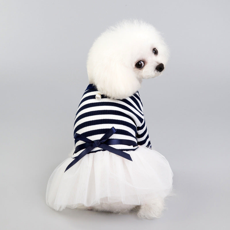 CBears teddy small dog pet clothes cute outfit UK Happy Furry