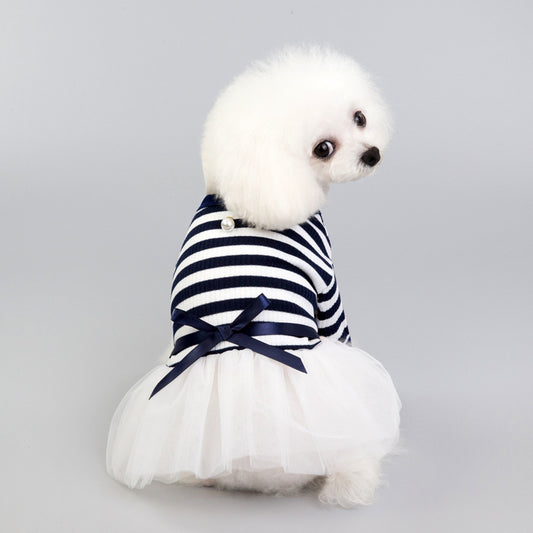 CBears teddy small dog pet clothes cute outfit UK Happy Furry