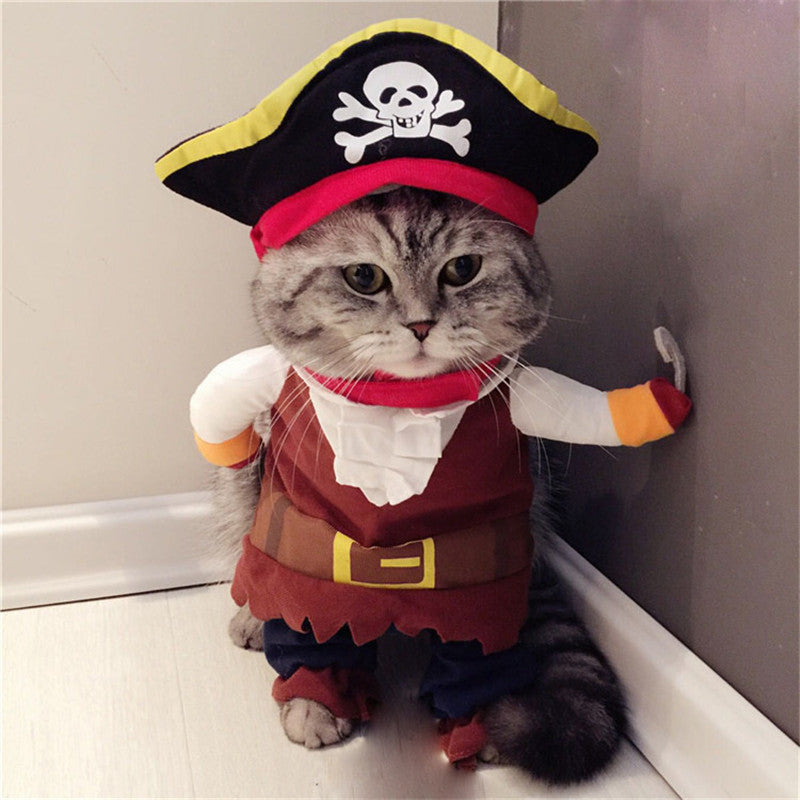 teddy pirate transformed pet costume halloween dog cat UK Happy Furry