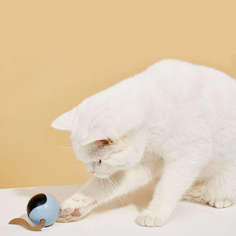 e77c5f6ed76838ea473176536f841ec0