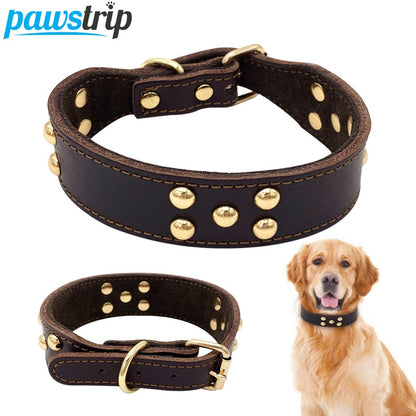 adjustable durable everyday dog collar UK Happy Furry