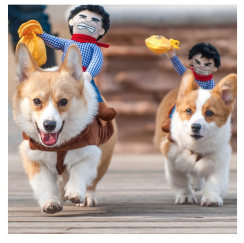riding clothes pet costume equestrian style dog cat UK Happy Furry
