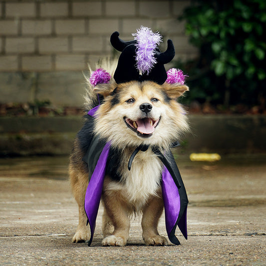 halloween demon cloak horn hat pet cosplay costume cat dog UK Happy Furry