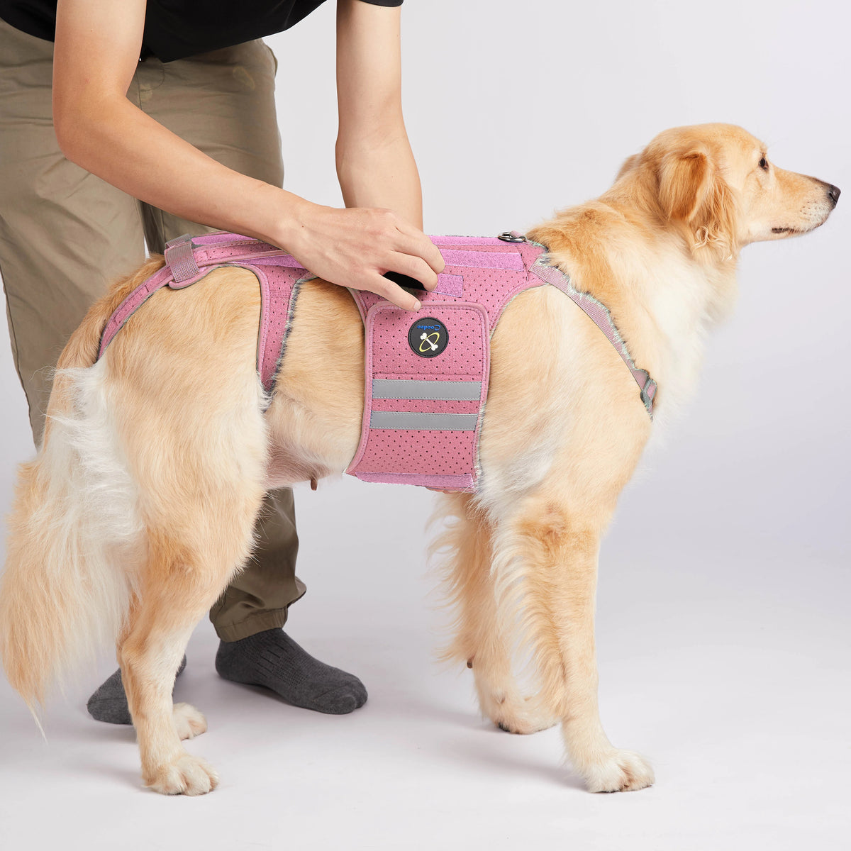 premium dog back brace spinal support harness adjustable pain relief UK Happy Furry
