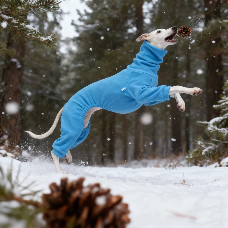 1pc Blue Polar Fleece Pet Clothing for Dogs Is Warm and Comfortable, Suitable for Dogs with Smaller Neck Widths and Greyhounds