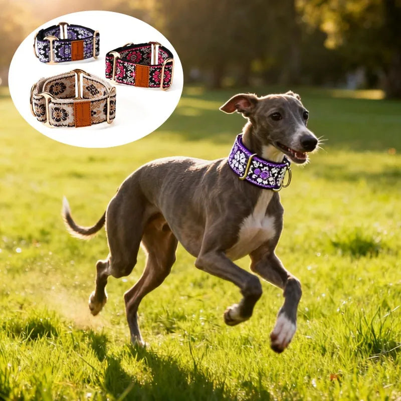 whippet martingale dog collar adjustable ethnic style greyhound lurcher galgo UK Happy Furry