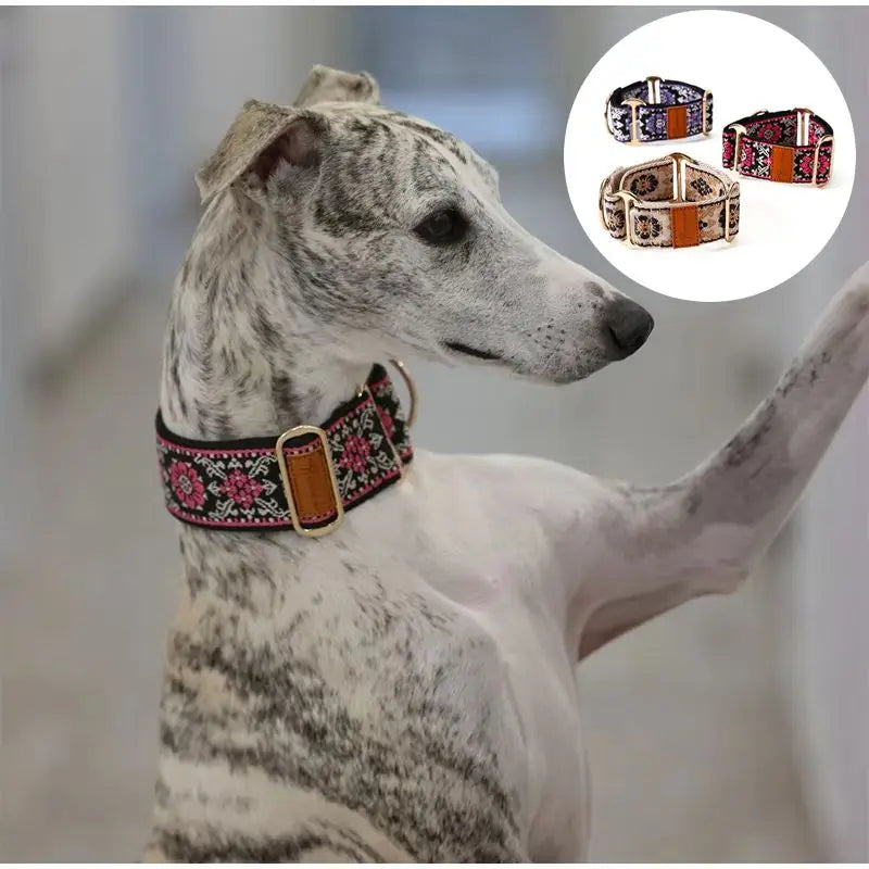 martingale dog collar Chinese ethnic pattern anti pull hand washable greyhound UK Happy Furry
