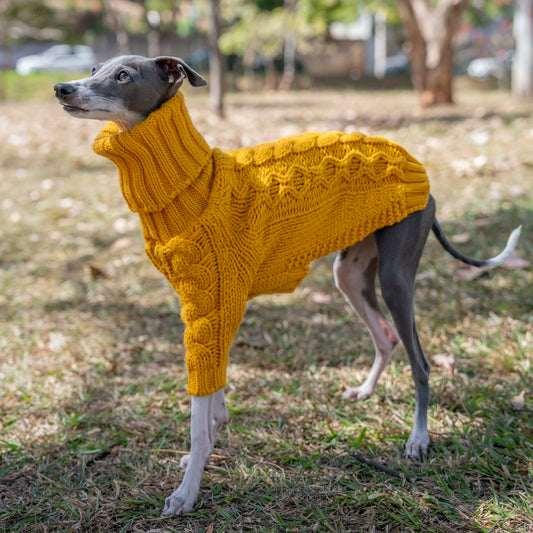 warm turtleneck pet sweater Italian greyhound whippet stylish autumn clothing UK Happy Furry