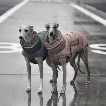 premium thermal cotton dog vest coat thickened winter Happy Furry UK