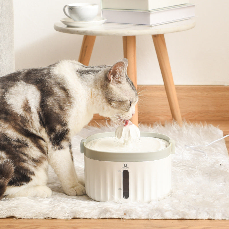 Pet waterer – Pet drinking water dispenser