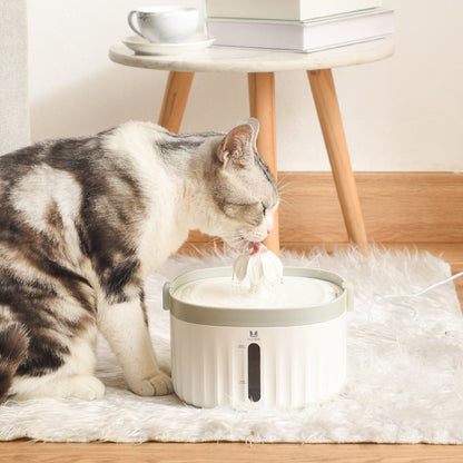 Pet waterer – Pet drinking water dispenser