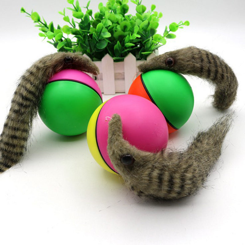 electric beaver ball water cat bath play toy UK Happy Furry