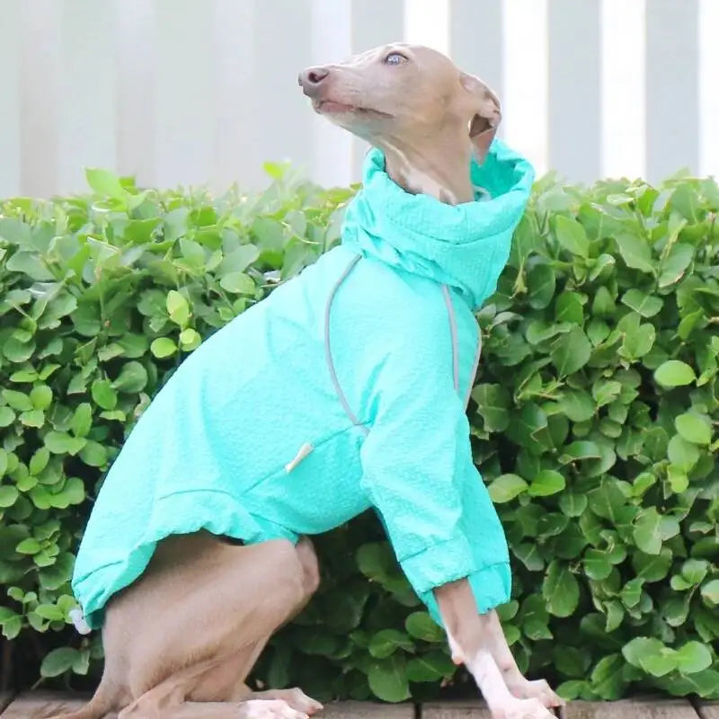lightweight waterproof sun protection dog jacket quick dry italian greyhound whippet UK Happy Furry
