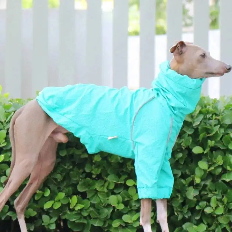 sun protection waterproof dog jacket quick dry windproof italian greyhound whippet UK Happy Furry