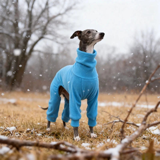 1pc Blue Polar Fleece Pet Clothing for Dogs Is Warm and Comfortable, Suitable for Dogs with Smaller Neck Widths and Greyhounds