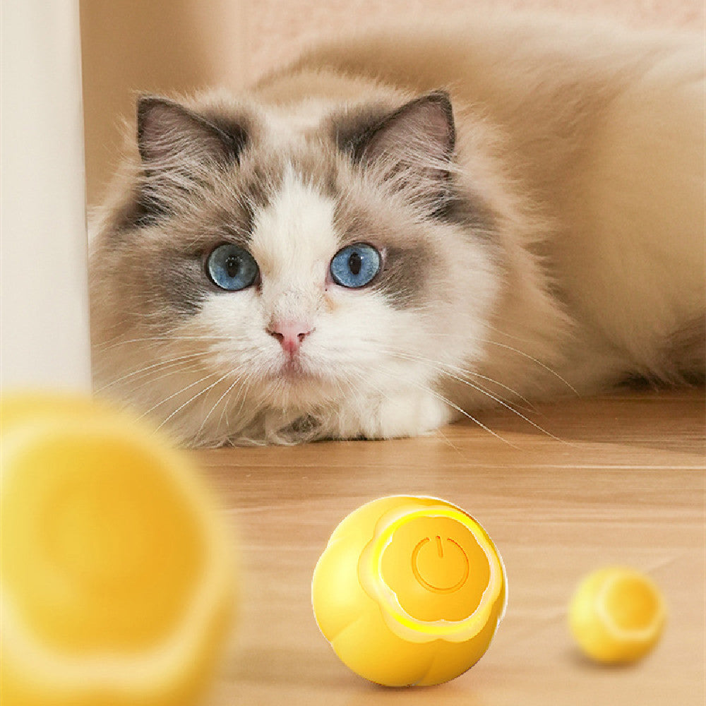 pet smart rolling ball cat toy bite resistant boredom relief UK Happy Furry
