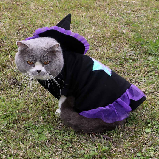 christmas wizard pet costume halloween dog cat clothes UK Happy Furry