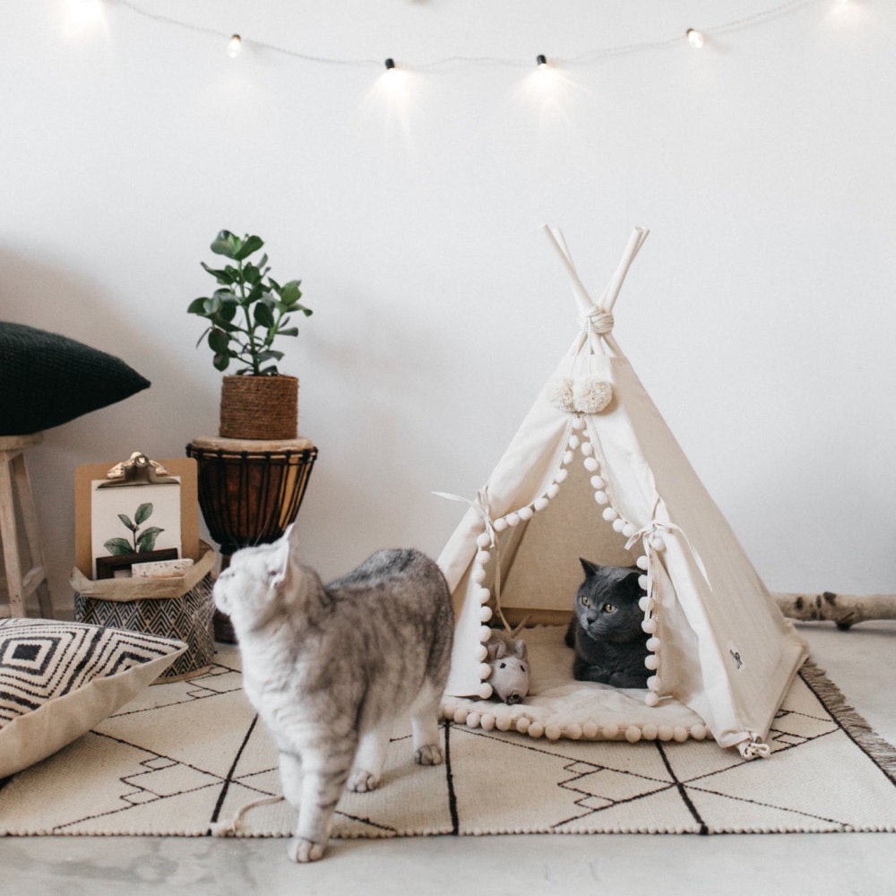 pet tent bed indoor outdoor dogs cats UK Happy Furry