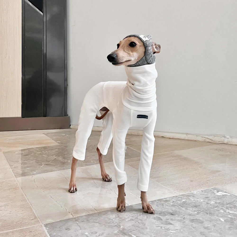 4-legged Cotton White Jumpsuit for Italian Greyhound Wellingtonian Spring High Neck Sweatshirt Winter Undercoat for Whippet