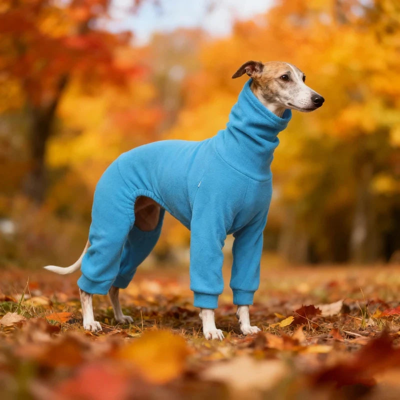 1pc Blue Polar Fleece Pet Clothing for Dogs Is Warm and Comfortable, Suitable for Dogs with Smaller Neck Widths and Greyhounds