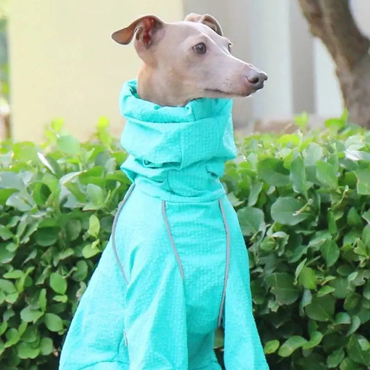 premium sun protection waterproof quick dry windproof jacket italian greyhound UK Happy Furry