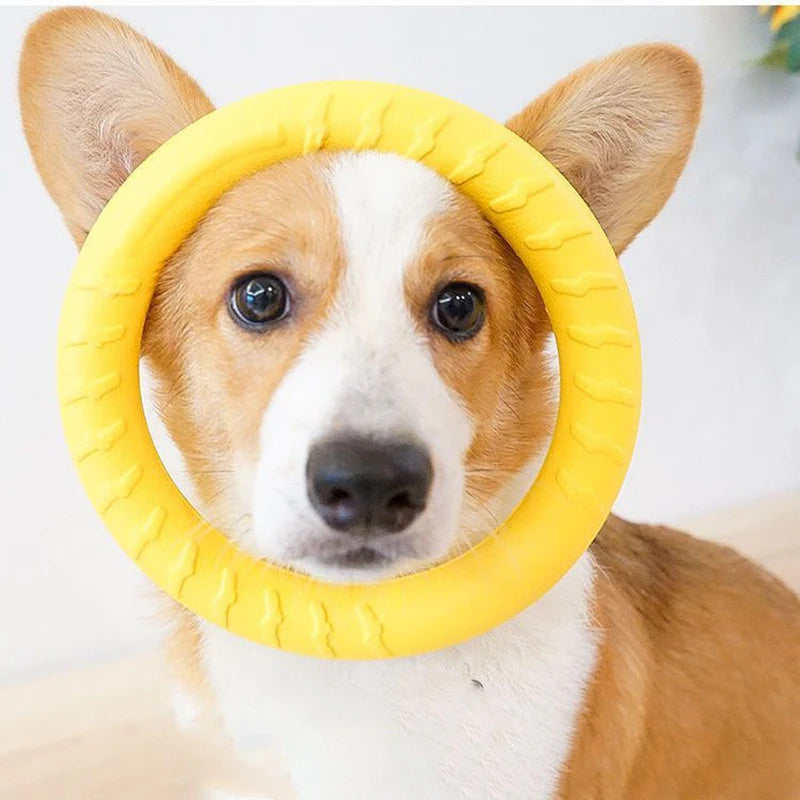 Dog Ring Toys Pet Flying Disk Training Ring Puller Anti-Bite Floating Interactive Supplies Dog Aggressive Chewing Toys 2026