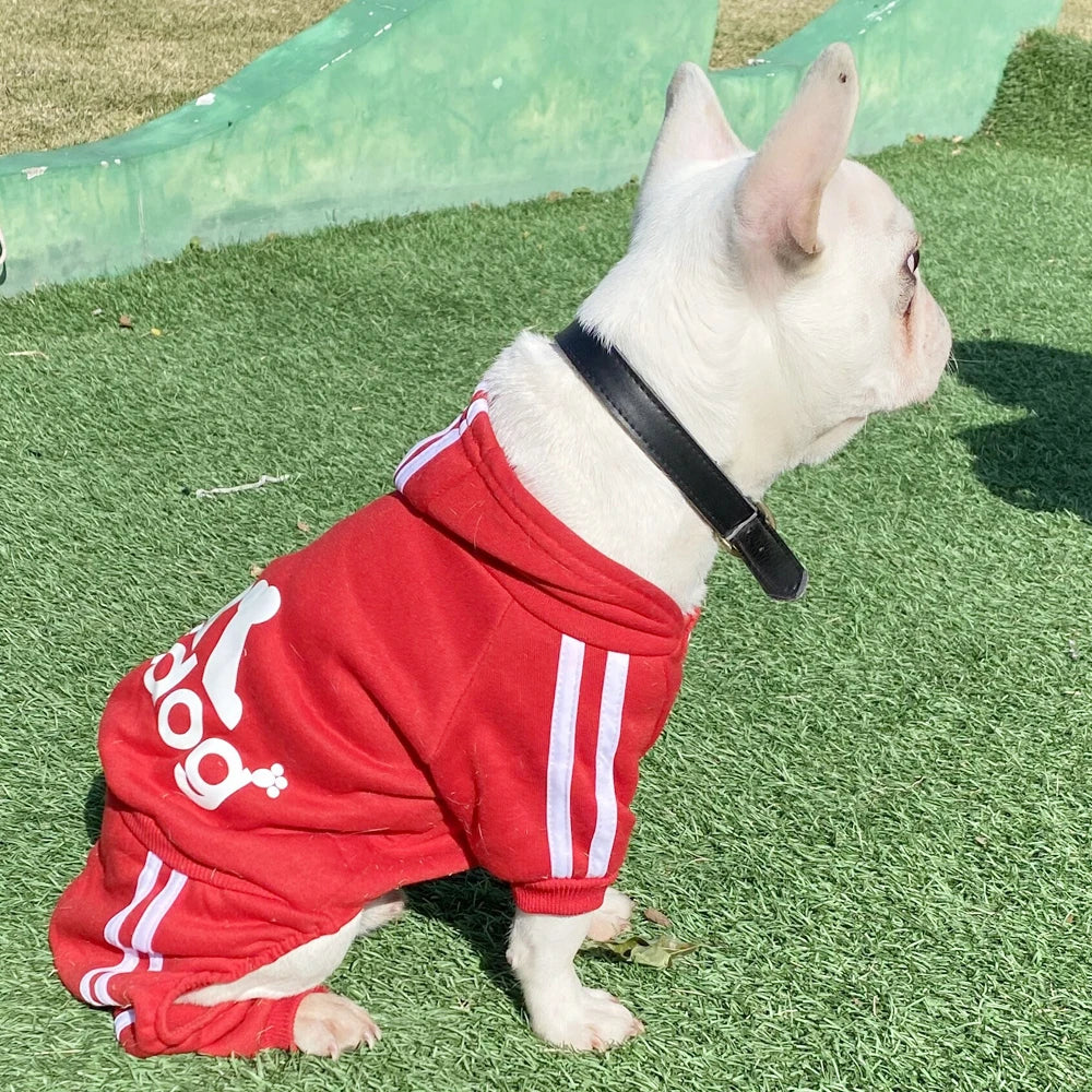 Spring Dog Jumpsuit Sports Suit for Small Dogs - Charming Pet Apparel for Terrier Beagle - Comfortable Clothing