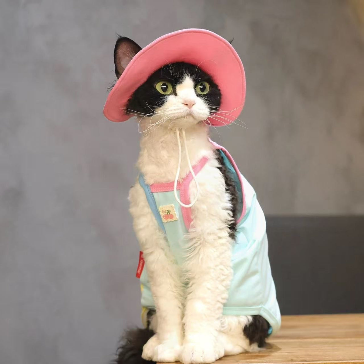 sphynx cat summer clothing 2 piece sleeveless shirt hat hairless Devon Rex UK Happy Furry