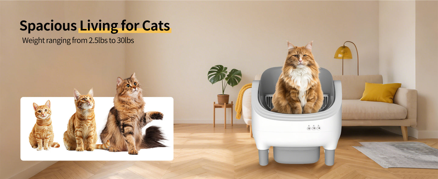 Open-top automatic cat litter box
