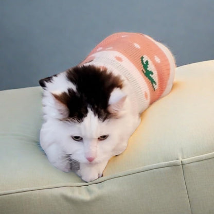 Knitted Turtleneck Sweater for Small Dogs & Cats