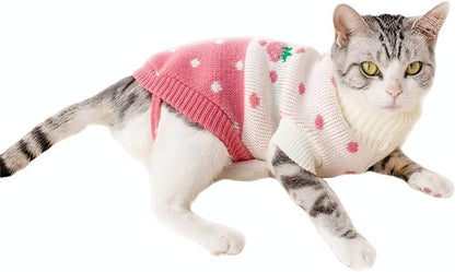 Knitted Turtleneck Sweater: Knitted Turtleneck Sweater for Small Dogs & Cats – Pet Clothing | Happy Furry UK

