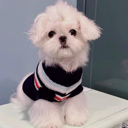 Knitted Turtleneck Sweater for Small Dogs & Cats — Size L