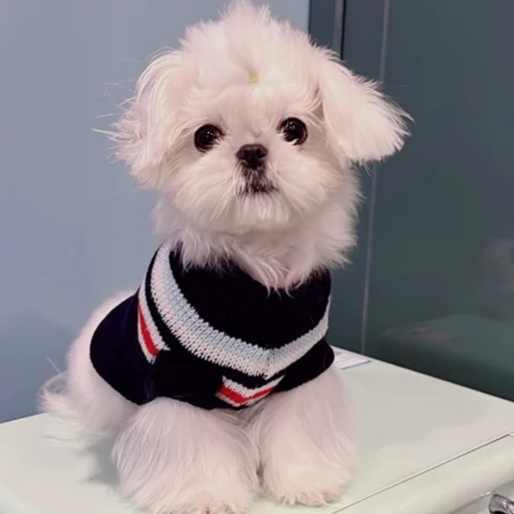 Knitted Turtleneck Sweater for Small Dogs & Cats — Size L