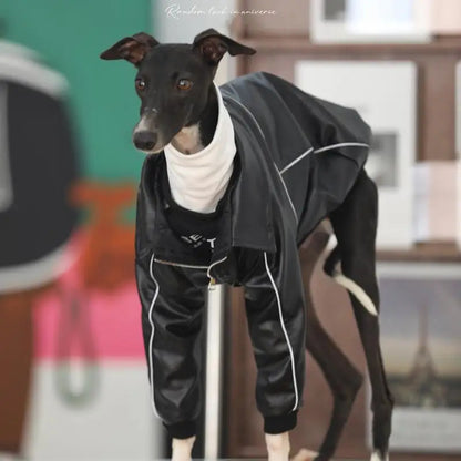 Winter Cool 2-legged Windproof Black Leather Dog Clothes Warm Italian Greyhound Coat with Zipper Waterproof Whippet Jacket