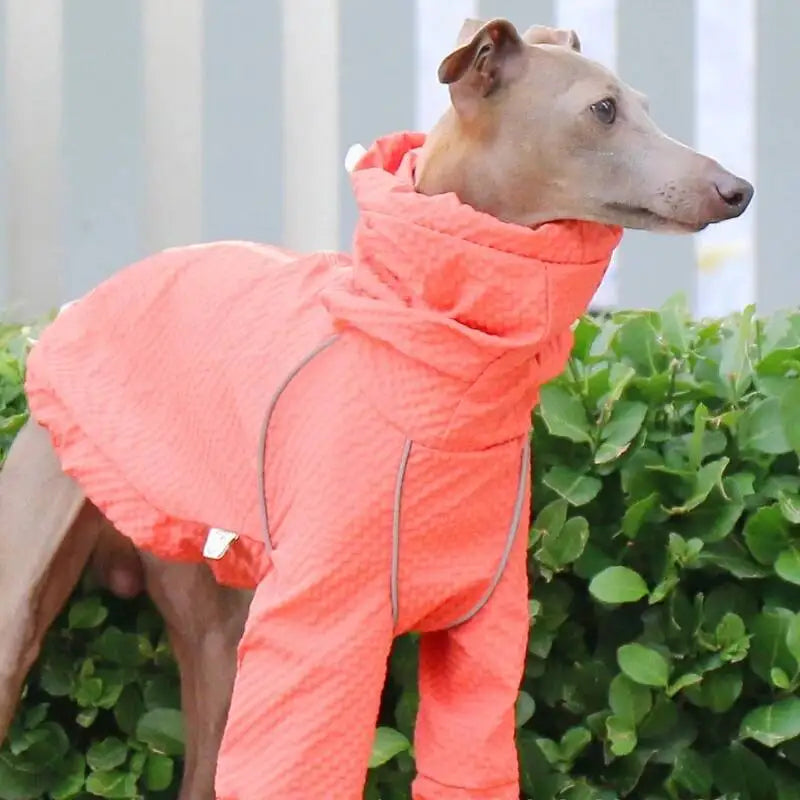 windproof waterproof quick dry sun protection jacket sighthound greyhound whippet UK Happy Furry