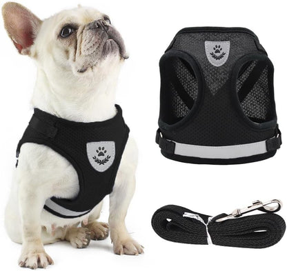 Soft Mesh No Pull Cat Harness and Lead Set for Walking, Escape Proof Kitten Vest Harnesses for Small Dogs/Cats/Animals Rabbit, Cool Cat Dog Collar with Leash   |  FREE SHIPPING