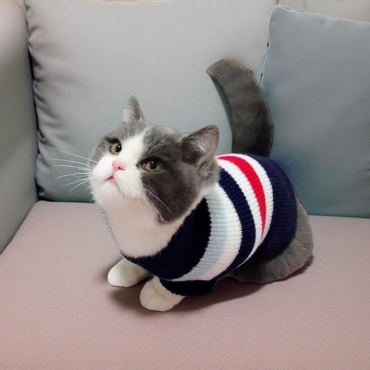 Knitted Turtleneck Sweater for Small Dogs & Cats — Size L