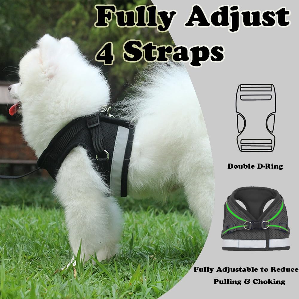 Soft Mesh No Pull Cat Harness and Lead Set for Walking, Escape Proof Kitten Vest Harnesses for Small Dogs/Cats/Animals Rabbit, Cool Cat Dog Collar with Leash   |  FREE SHIPPING
