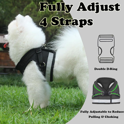 Soft Mesh No Pull Cat Harness and Lead Set for Walking, Escape Proof Kitten Vest Harnesses for Small Dogs/Cats/Animals Rabbit, Cool Cat Dog Collar with Leash   |  FREE SHIPPING