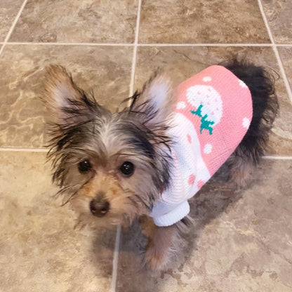 Knitted Turtleneck Sweater for Small Dogs & Cats