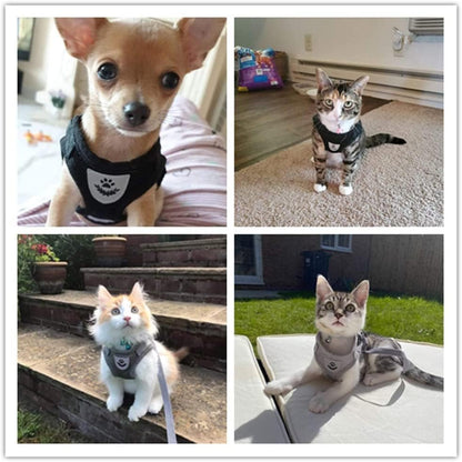 Soft Mesh No Pull Cat Harness and Lead Set for Walking, Escape Proof Kitten Vest Harnesses for Small Dogs/Cats/Animals Rabbit, Cool Cat Dog Collar with Leash   |  FREE SHIPPING