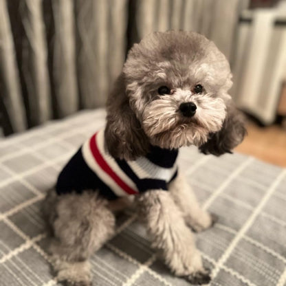 Knitted Turtleneck Sweater for Small Dogs & Cats — Size L