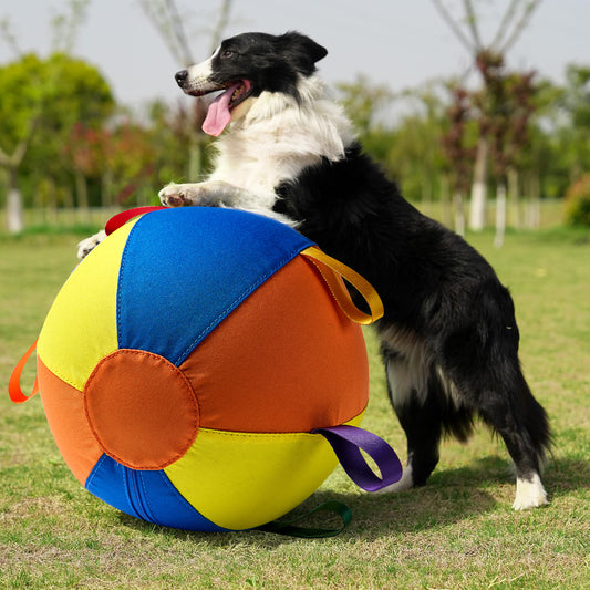 golden retriever chew resistant entertainment balls complete set UK Happy Furry
