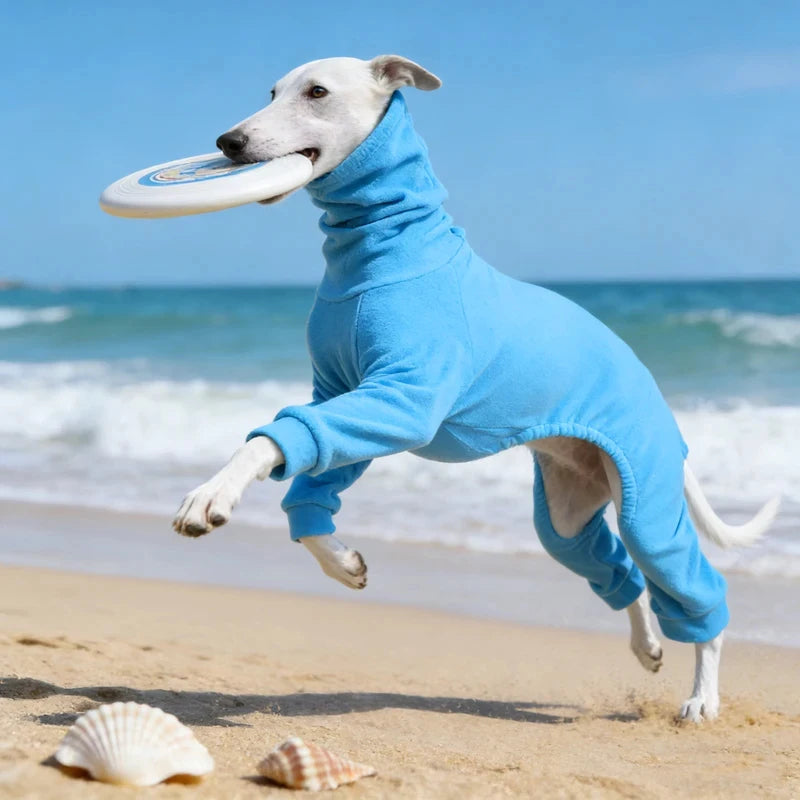 1pc Blue Polar Fleece Pet Clothing for Dogs Is Warm and Comfortable, Suitable for Dogs with Smaller Neck Widths and Greyhounds