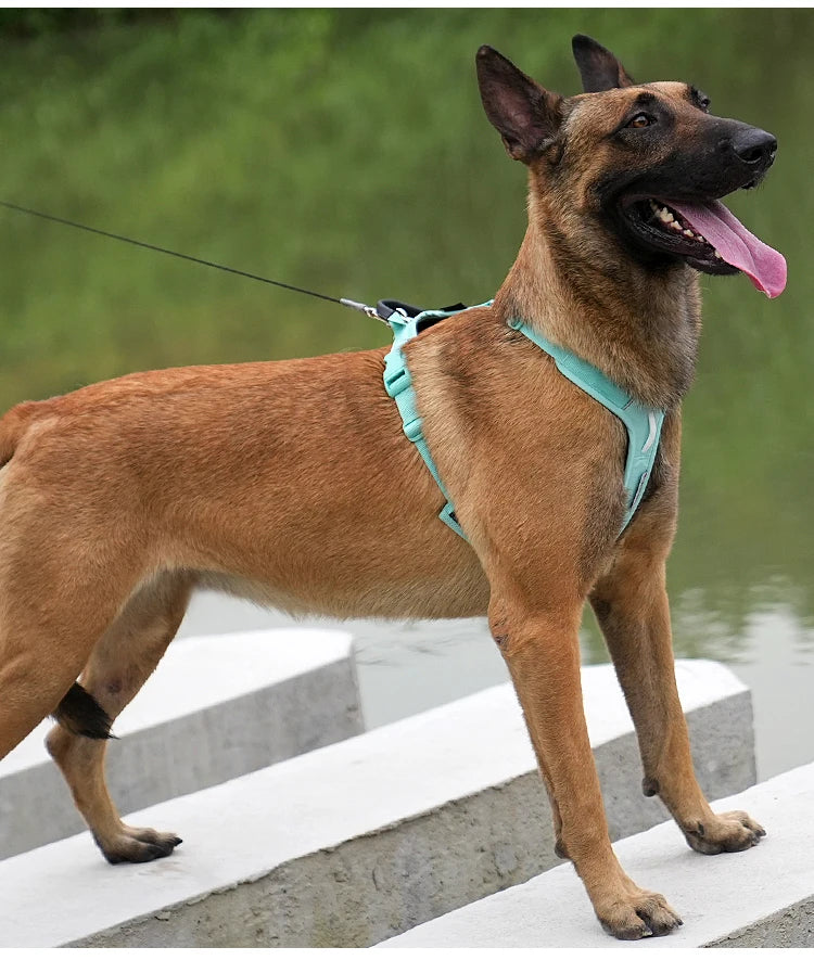 SMALL COMBINATION Pet Harness No Pull Nylon Reflective Dog Harness Adjustable Comfortable Control Walking Running accessories