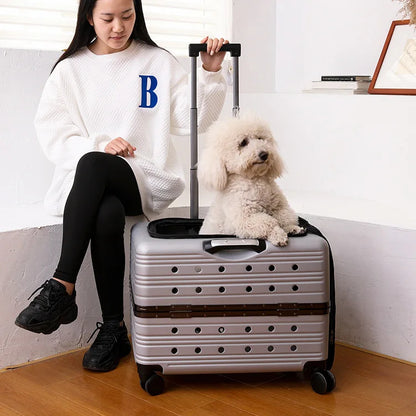 2026 Large Capacity Transparent Pet Suitcase Portable Stroller Double Medium To Large Pets Cat Outdoor Travel Bag