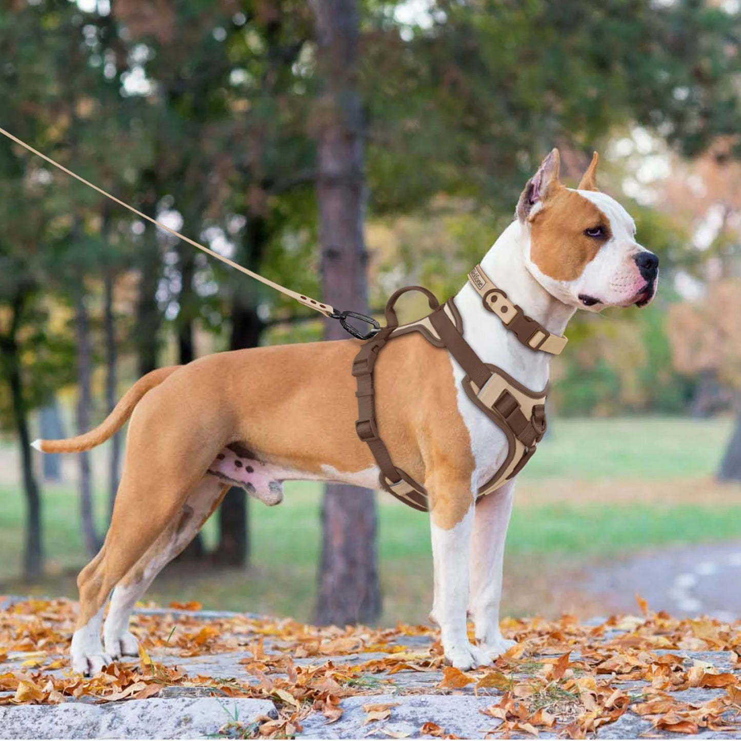 New Chocolate color luxury Dog Harness no pull for large Small dogs Adjustable Chest Strap dog harness