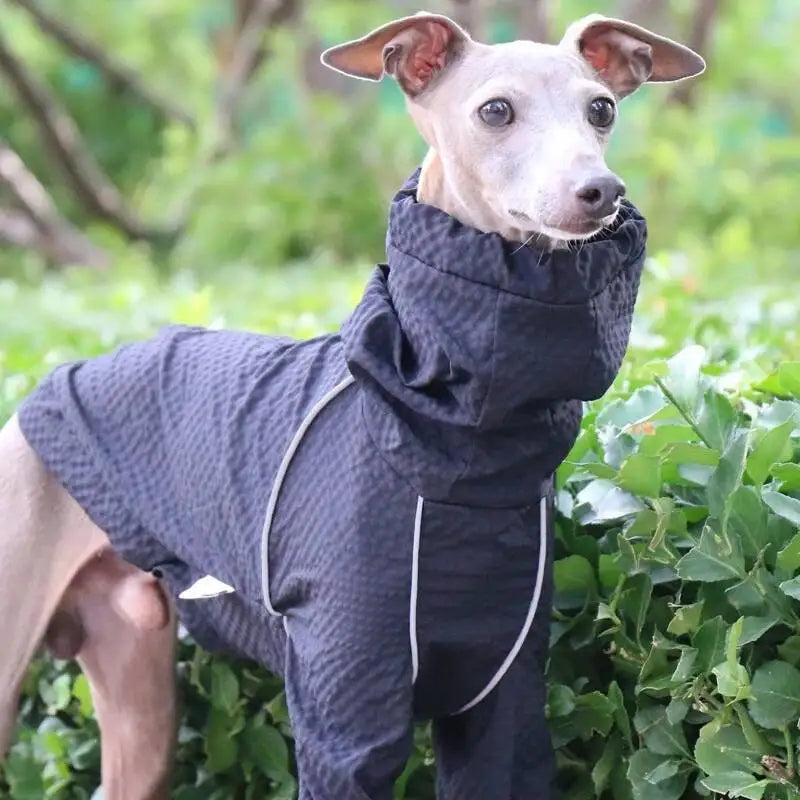 Sun Protection Waterproof Pet Dog Jacket Lightweight Quick Dry Windproof Outerwear For Slim Breed Italian Greyhound Whippet 1 sold byBXX Pet Store (4.6 | 327 sold )