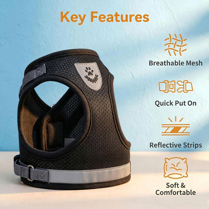 Soft Mesh No Pull Cat Harness and Lead Set for Walking, Escape Proof Kitten Vest Harnesses for Small Dogs/Cats/Animals Rabbit, Cool Cat Dog Collar with Leash   |  FREE SHIPPING